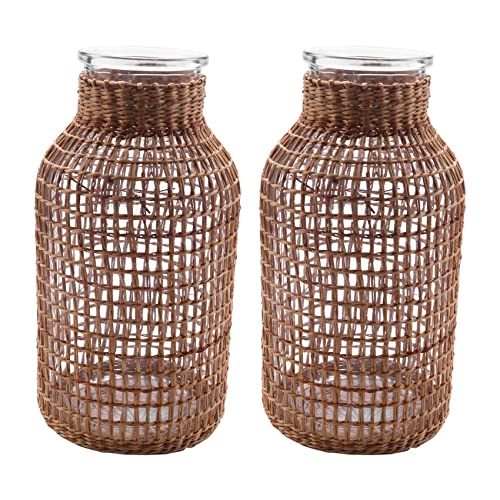 Eioeeklop 2X Stroh Glas Blumen Vase Japanischer Blumen Topf Im Nordisch Vertraglich Vereinbarten Kreativen Blumen Korb für Wasser Pflanzen -L von Eioeeklop