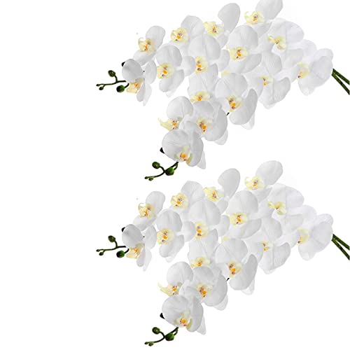 Eioeeklop 4Pcs 38 KüNstliche Echte Orchideen Blumen 9Heads Latex Phalaenopsis Stiele für DIY Hochzeit MittelstüCke, KüChe Eioeeklop 4Pcs 38 KüNstliche Echte Orchideen Blumen 9Heads Latex Phalaenopsis Stiele für DIY Hochzeit MittelstüCke, KüChe von Eioeeklop
