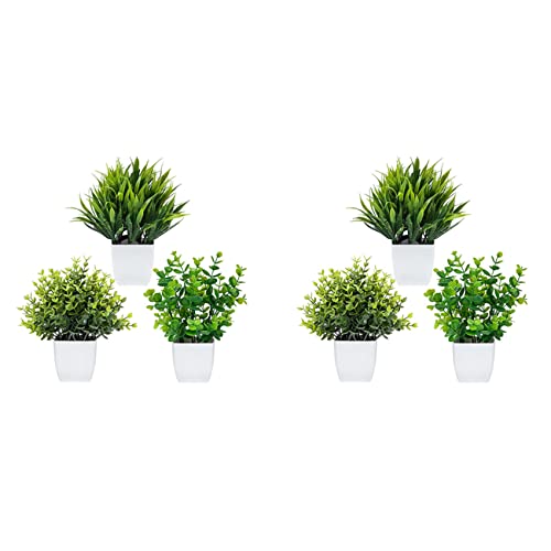 Eioeeklop 6 Pack Künstliche Pflanzen Im Töpfen Künstliche Eukalyptus Pflanze Mini Topf Künstliche Pflanzen Drinnen Kleine Kunststoff Weizen Gras Sträucher Eioeeklop 6 Pack Künstliche Pflanzen Im Töpfen Künstliche Eukalyptus Pflanze Mini Topf Künstliche Pflanzen Drinnen Kleine Kunststoff Weizen Gras Sträucher von Eioeeklop