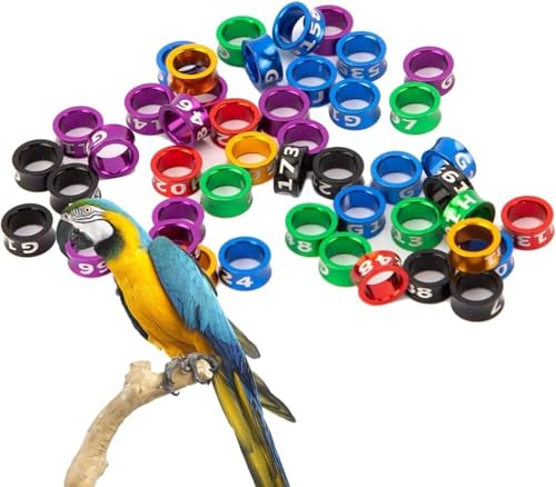 Offener Ring für Vögel, Beinring für Vögel, geteilter Ring aus Aluminium, Etikett zur Identifizierung von Tauben, Trainingsring in gemischten Farben von Eivdru