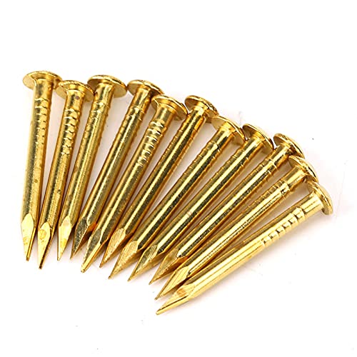 100Pcs Messingnägel, Messing Rosettennägel Rosettenstifte Rundkopf Messing Brad Nagel ür Holz, zum Aufhängen von Bilderrahmenspiegeln, Möbelscharnier Hardware Zubehör (22 mm lang, fett) von Ejoyous