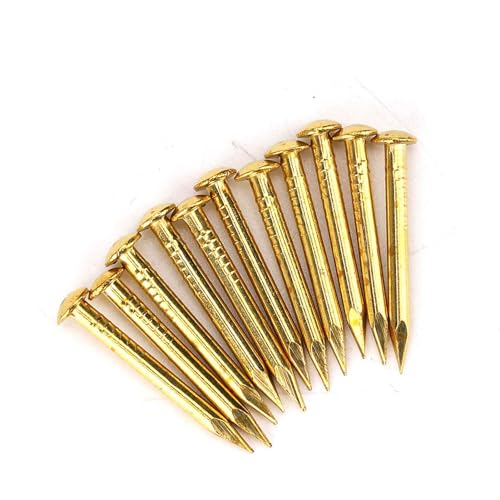 100Pcs Messingnägel, Messing Rosettennägel Rosettenstifte Rundkopf Messing Brad Nagel ür Holz, zum Aufhängen von Bilderrahmenspiegeln Möbelscharnier Hardware Zubehör (22 mm lang, fett) von Ejoyous