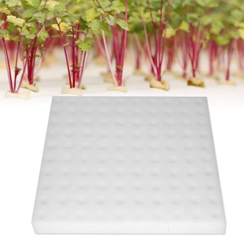 Ejoyous 100Pcs Hydroponischer Schwamm, Soilless Hydroponic Schwämme Hydrokulturschwämme Pflanzwerkzeug Anzuchtschwämme für kleine Knospenwachstum Wachstums-Sämlinge von Ejoyous