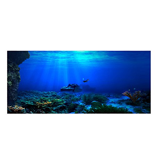 Ejoyous Aquarium Hintergrund Poster, 3D Effekt PVC Adhesive Poster Aquarium Dekorationen Bilder Unterwasserwelt Hintergrund Dekoration Papier Cling Decals Aufkleber(122 * 46cm) von Ejoyous