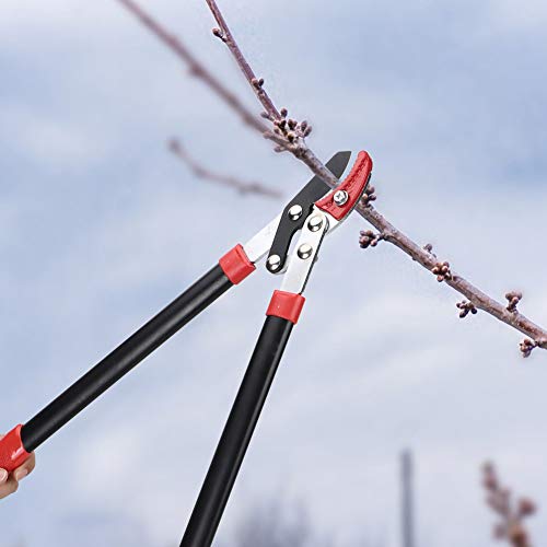Ejoyous Beschneiden von Scherenbaum -Trimmer Ast Cutter SK5 Hochkohlenstoff Stahlklinge Ergonomischer Griff für Gartenlandschaftsgestaltung Bonsai Obstbäume von Ejoyous