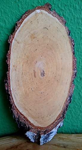 Birkenscheibe oval ca. 25 - 30 x 8 - 14 cm (Dicke: 1,5 cm) Holzscheiben Birkenstamm Birken Holz Dekoration Hochzeit Baumscheiben von El Natural - Produkte aus der Natur