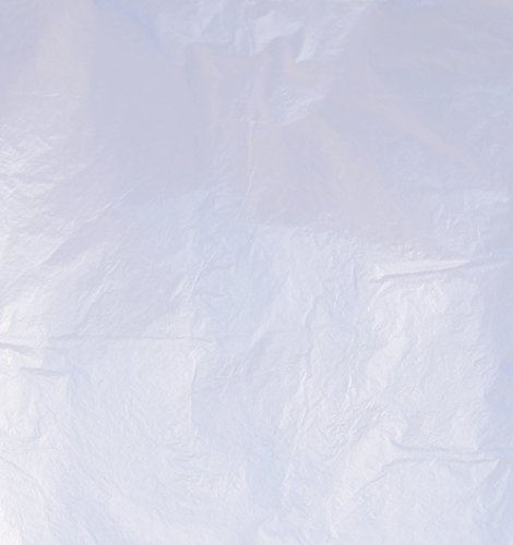 El Natural - Produkte aus der Natur 100 Blatt - Schlagaluminium lose 16 x 16 cm zum Versilbern Blattmetall von El Natural - Produkte aus der Natur