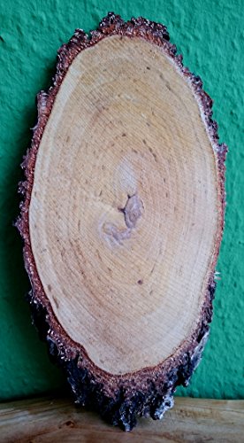 El Natural - Produkte aus der Natur Birkenscheibe oval ca. 15-20 x 6-11 cm (Dicke: 1,0 cm) Holzscheiben Birkenstamm Birken Holz Dekoration Hochzeit Baumscheiben von El Natural - Produkte aus der Natur