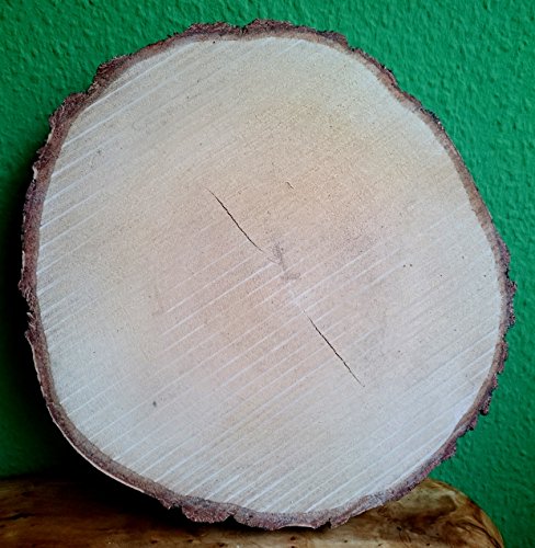 El Natural - Produkte aus der Natur Birkenscheibe rund ca. 15-20 cm (Dicke: 2,0 cm) Holzscheiben Birkenstamm Birken Holz Dekoration Hochzeit Baumscheiben von El Natural - Produkte aus der Natur