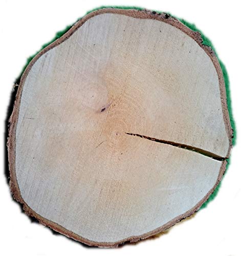 El Natural - Produkte aus der Natur Birkenscheibe rund ca. 20-25 cm (Dicke: 2,5 cm) Holzscheiben Birkenstamm Birken Holz Dekoration Hochzeit Baumscheiben von El Natural - Produkte aus der Natur