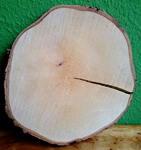 El Natural - Produkte aus der Natur Birkenscheibe rund ca. 25-30 cm (Dicke: 2,5 cm) Holzscheiben Birkenstamm Birken Holz Dekoration Hochzeit Baumscheiben von El Natural - Produkte aus der Natur