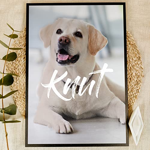 Labrador Geschenke Holzbild - Foto Geschenk - personalisierbar zum Hinstellen/Aufhängen opt. beleuchtet Labrador Schild, Hundebesitzer, Mein Labrador Kuscheltier Poster - personalisierte Geschenke von Elbeffekt