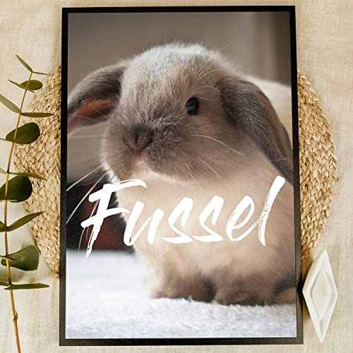 Elbeffekt Mein Kaninchen Holzbild - Foto Geschenk - personalisierbar zum Hinstellen/Aufhängen optional beleuchtet Kaninchen Zubehoer, Kaninchen Spielzeug, Mein Kaninchenstall Poster - Hasen Geschenk von Elbeffekt