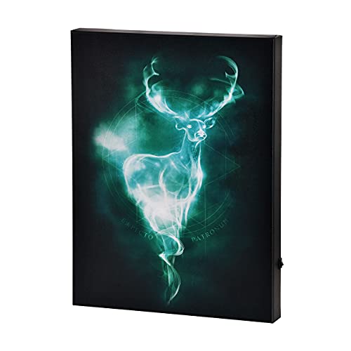 Elbenwald Harry Potter Wandbild mit Licht Hirsch Patronus batteriebetrieben 30 x 40 x 3,8 cm von Elbenwald