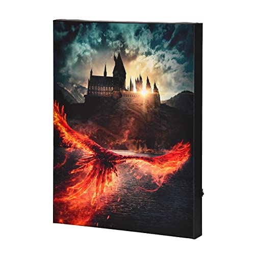 Elbenwald Harry Potter Wandbild mit Licht Phönix über Hogwarts aus Dumbledores Geheimnisse Design batteriebetrieben 30 x 40 x 3,8 cm Elbenwald Harry Potter Wandbild mit Licht Phönix über Hogwarts aus Dumbledores Geheimnisse Design batteriebetrieben 30 x 40 x 3,8 cm von Elbenwald