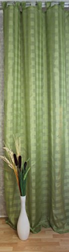 Elbersdrucke halbtransparente Gardine Schlaufenschal Karo-Voile 03 grün 255 x 140 cm Vorhang mit Schlaufen für Wohnzimmer Schlafzimmer Flur 194024 von Elbersdrucke