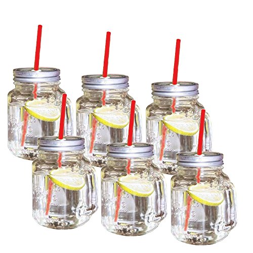 Elchversand 6er-Set Trinkglas mit Schraubdeckel, Henkel und rotem Strohhalm 400ml - Wespenschutz Elchversand 6er-Set Trinkglas mit Schraubdeckel, Henkel und rotem Strohhalm 400ml - Wespenschutz von Elchversand