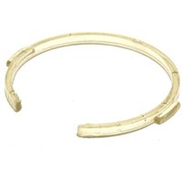 Klemmring Kombibürste für Electrolux Staubsauger von Electrolux