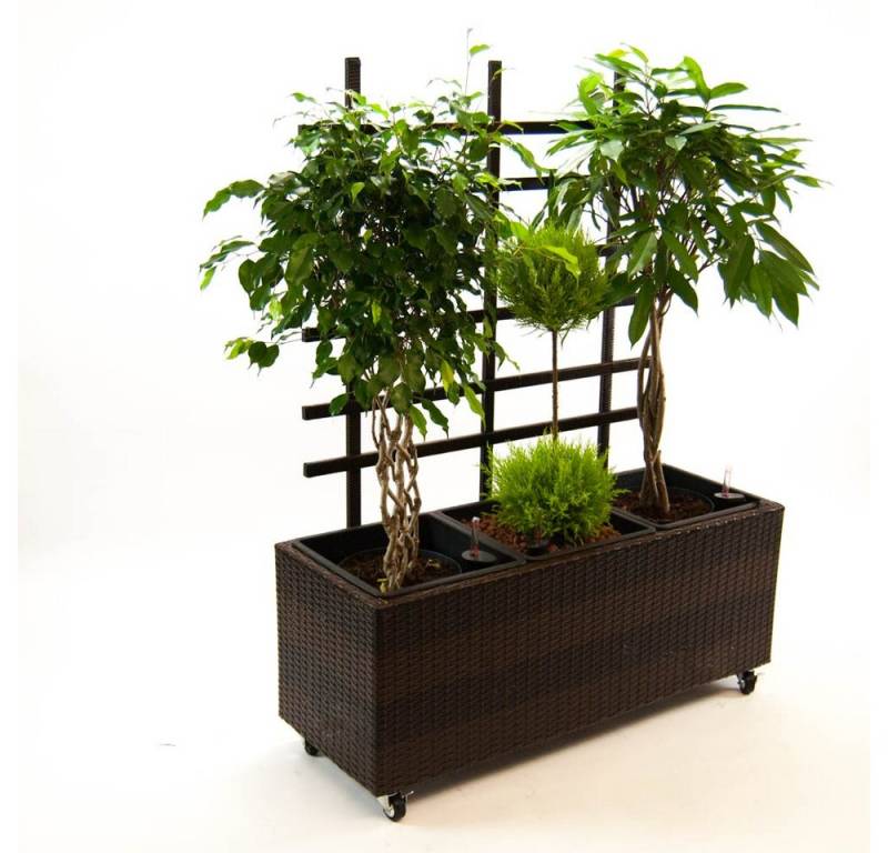 Elegant Einrichten Pflanzkübel Polyrattan mit Rankgitter rechteckig 82x30x100cm coffeebraun (1 St) von Elegant Einrichten