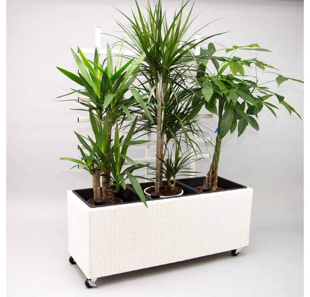 Elegant Einrichten Balkonkasten Pflanzkübel Polyrattan mit Rankgitter Rechteckig 82x30x100cm Weiß (4 St) von Elegant Einrichten