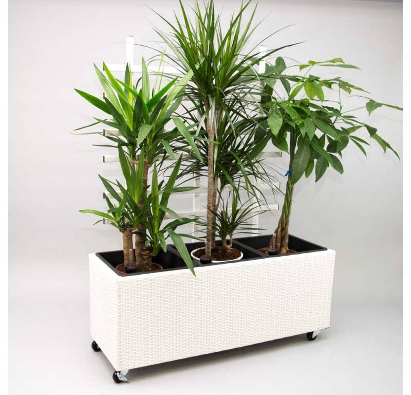 Elegant Einrichten Pflanzkübel Polyrattan mit Rankgitter rechteckig 82x30x100cm weiß (1 St) von Elegant Einrichten