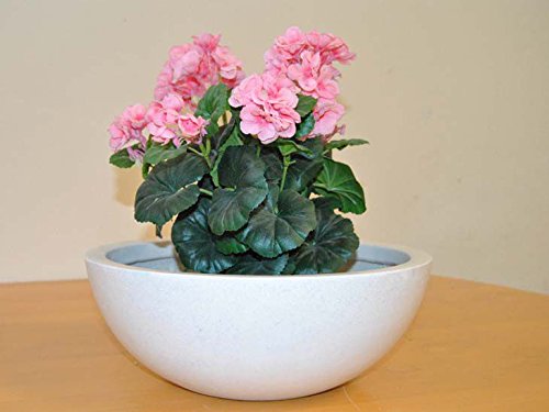 Elegant Einrichten Blumenkübel Fiberglas Schale D55xH19cm Perlmutt weiß. von Elegant Einrichten