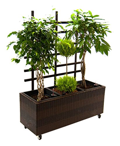 Elegant Einrichten Pflanzkübel, Pflanztrog Polyrattan mit Rankgitter 82x30x100cm Coffee braun von Elegant Einrichten