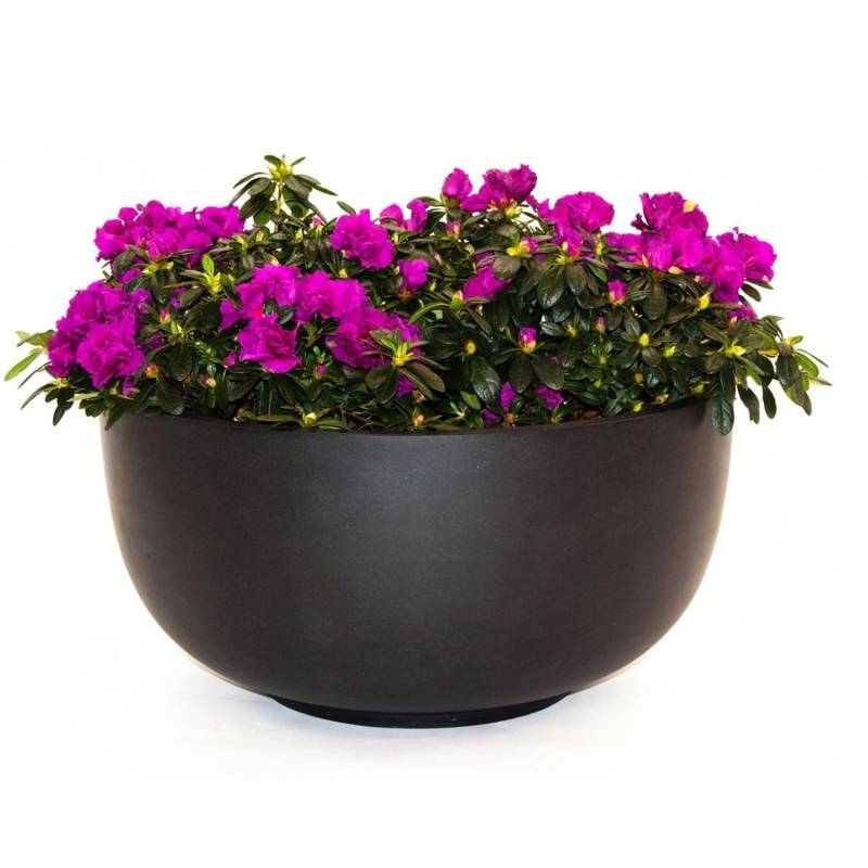 Elegant Einrichten Pflanzkübel Fiberglas Schale-Rund D60xH30cm Elegant-Schwarz-Matt von Elegant Einrichten