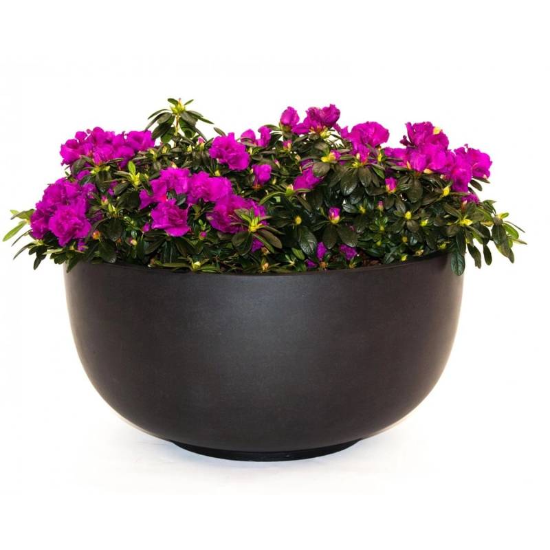 Elegant Einrichten Pflanzkübel Fiberglas Schale-Rund D80xH40cm Elegant-Schwarz-Matt von Elegant Einrichten