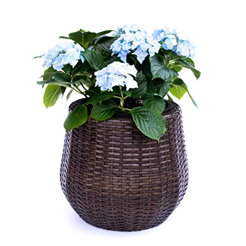 Elegant Einrichten Pflanzkübel Polyrattan D52xH44cm Mocca von Elegant Einrichten
