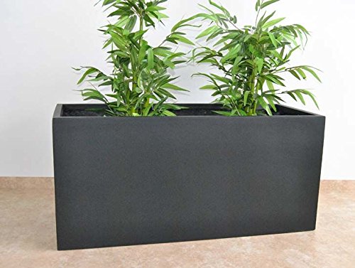 Pflanztrog, Pflanzkübel Fiberglas als Raumteiler 120x50x55cm elegant schwarz-matt. von Elegant Einrichten