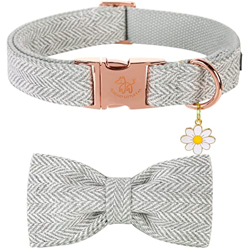 Elegant Little Tail Hundehalsband Mit Schleife - Herringbone Grau, Strapazierfähig für Mittelgroße Hunde Elegant Little Tail Hundehalsband Mit Schleife - Herringbone Grau, Strapazierfähig für Mittelgroße Hunde von Elegant little tail
