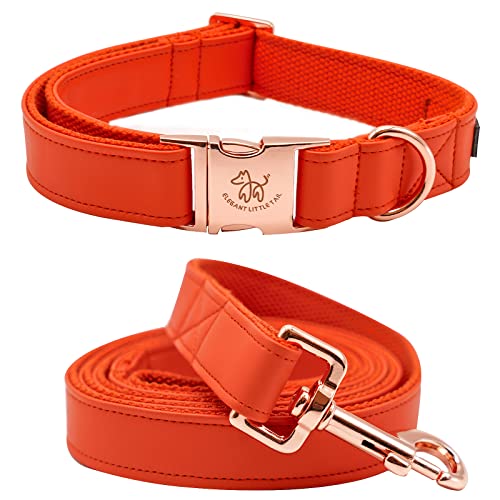 Elegant Little Tail Hundehalsband und Leine aus Leder - Langlebiges, Verstellbares Halsband für Mittelgroße Hunde, Herbst, Mädchen oder Jungen von Elegant little tail