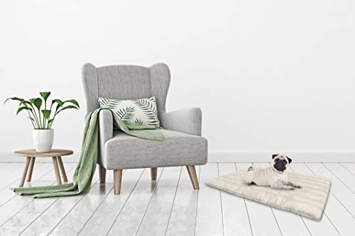 Elegant Tppanna Washbar Hund Kissen 60x100cm Creme, 100% Mikrofaser von Italian Bed Linen