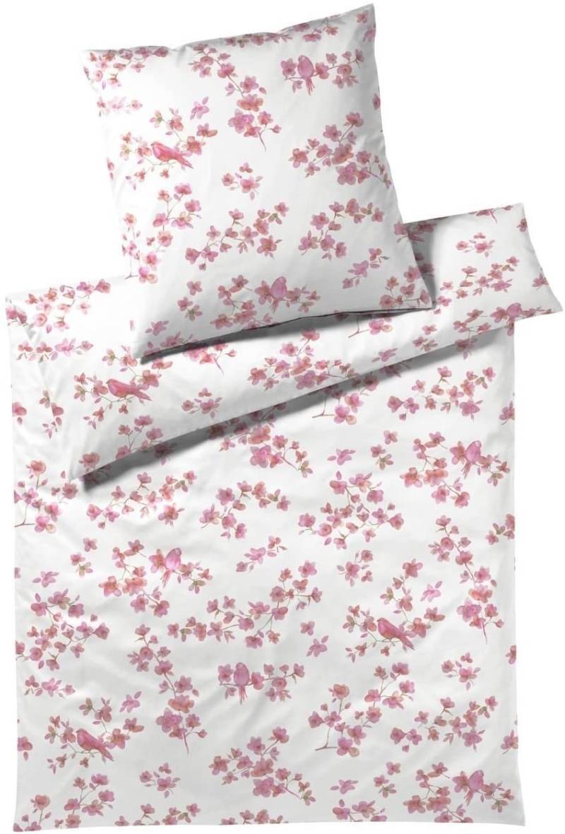 Elegante Mako Honeymoon Jersey Bettwäsche 135x200 Blumen Vögel rosa 3500-1 von Elegante