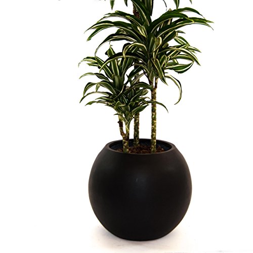 Blumenkübel Fiberglas Ball D40xH32cm elegant schwarz-matt. von Elegant Einrichten