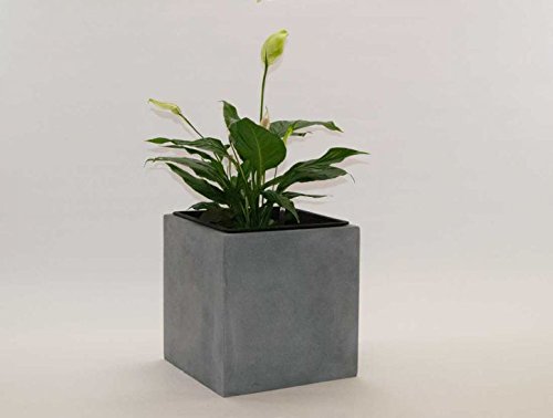 Elegant Einrichten Blumenkübel Fiberglas quadratisch 30x30x30cm grau. von Elegant Einrichten