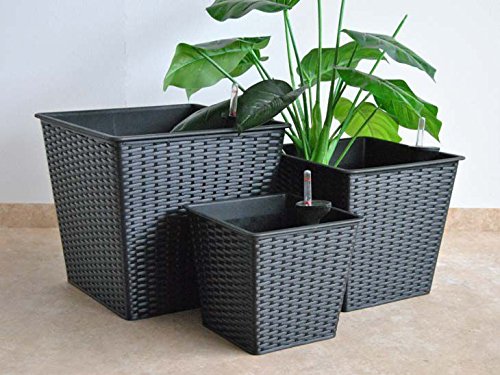 Elegant Einrichten Blumenkübel quadratisch, konisch Polyrattan 34x34x31cm schwarz. von Elegant Einrichten