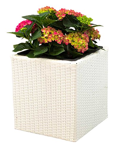 Elegant Einrichten Pflanzkübel Polyrattan quadratisch 50x50x50cm weiß von Elegant Einrichten