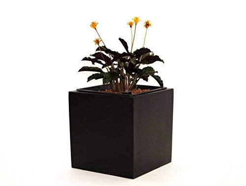 Blumenkübel Fiberglas quadratisch 30x30x30cm elegant schwarz-matt. von Elegant Einrichten