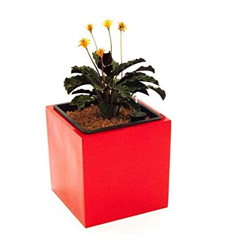 Elegant Einrichten Blumenkübel Fiberglas quadratisch 30x30x30cm Hochglanz rot. von Elegant Einrichten