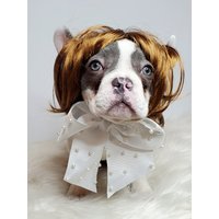 Braune Farbe Perücke Für Hund Oder Katze// Halloween//Kleines Haustier/Hundekostüm/Katzenkostüm von Elegantpet1