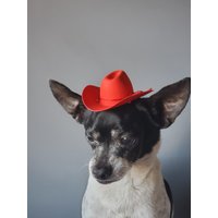 Cowboy Mini Hut Rote Farbe Für Hund Oder Katze /Halloween Haustier /Cowboys / von Elegantpet1