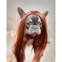 Super Süße Haustier Perücke Für Hund Oder Katze Kleintiere/Halloween Kostüm/Halloween Kostüm/ von Elegantpet1