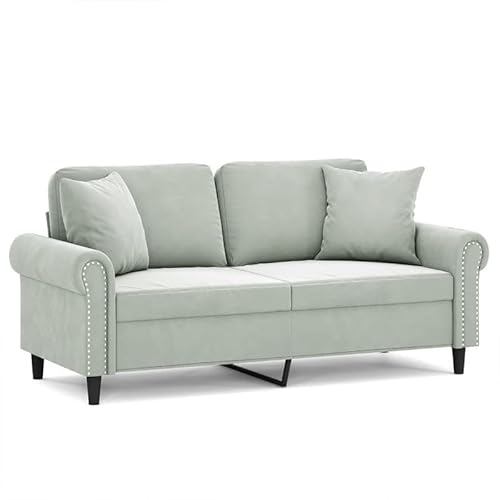 2-Sitzer-Sofa 140 cm Futon Samt Hellgrau mit Zierkissen – Komfortables Wohnzimmer-Sofa für kleine Räume, pflegeleicht und modern von Eleganz