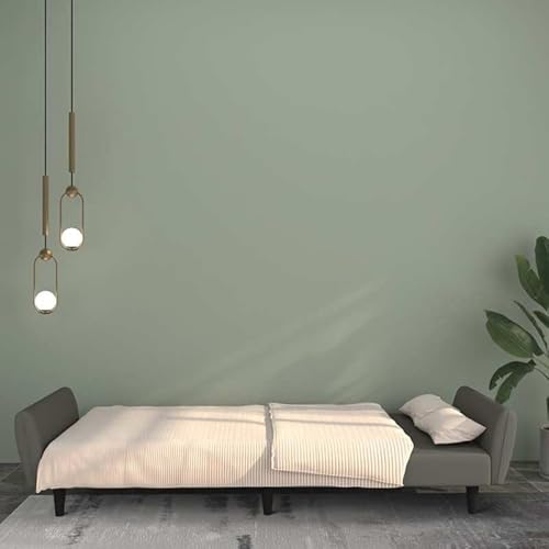 Eleganz Futon Sofa Bett 2-Sitzer in Dunkelgrau Samt – Bequemes Schlafsofa für Wohnzimmer & Gästezimmer, Platzsparend & Modern von Eleganz