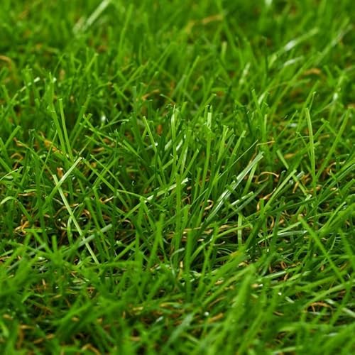 Eleganz Kunstrasen 1x5 m, 30 mm Höhe - Grün, PP & PE Material - Ideal für Garten, Balkon oder Terrasse - Langlebig & Pflegeleicht Eleganz Kunstrasen 1x5 m, 30 mm Höhe - Grün, PP & PE Material - Ideal für Garten, Balkon oder Terrasse - Langlebig & Pflegeleicht von Eleganz