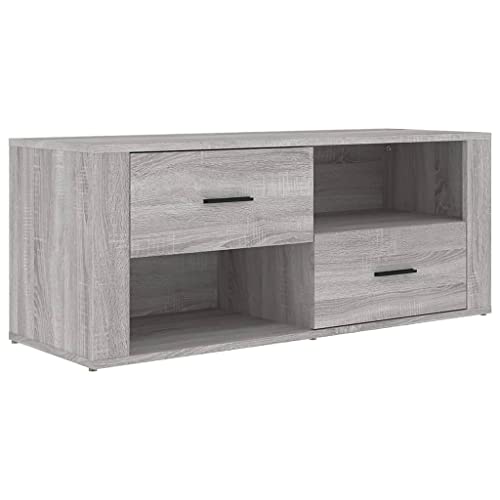 Eleganz TV-Schrank Grau Sonoma 100x35x40 cm aus Holzwerkstoff - Moderner Lautsprecher-Schrank für Wohnzimmer, langlebig & platzsparend von Eleganz