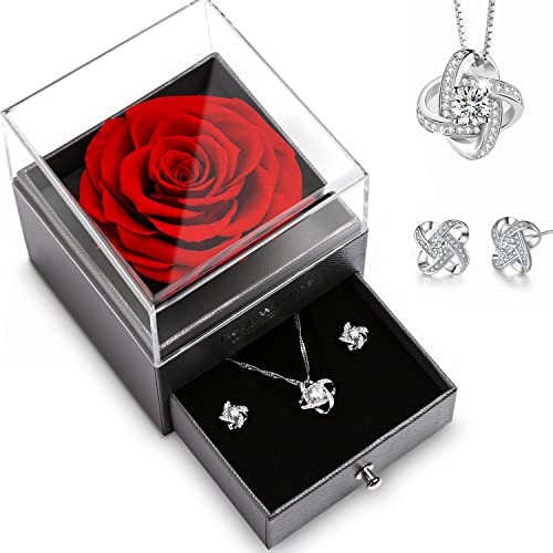 Elekin Ewige Rose Geschenke für Sie, Konservierte Infinity Rosen Geschenk für Frauen Freundin Sie Mutter zum Geburtstag Hochzeit Valentinstag von Elekin