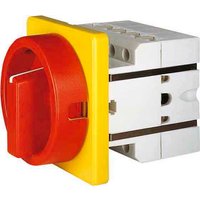 Elektra Tailfingen Haupt-Not-Ausschalter f. Frontbefestigung S1 013/HS-F3-D-RG - 134401 von Elektra Tailfingen